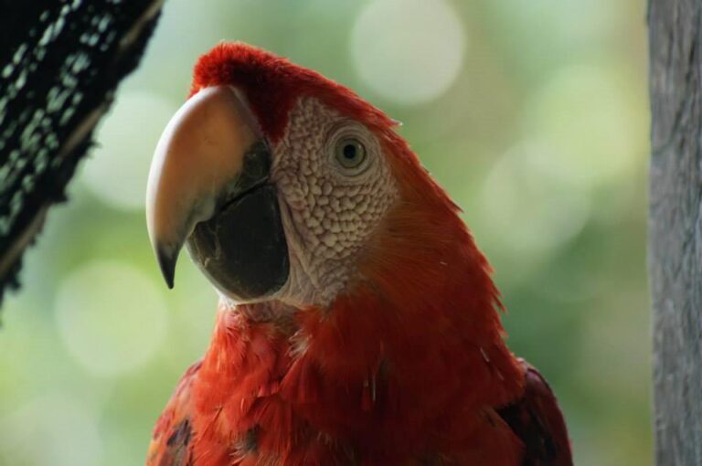 1bd96ae0-1369-453e-a2df-9c537a4c5296